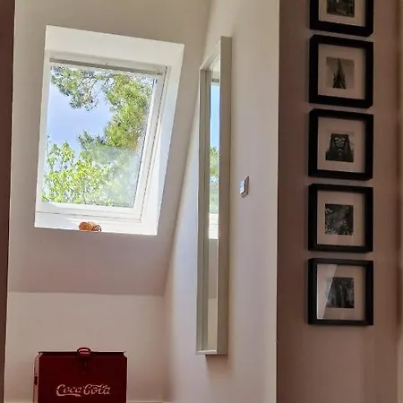 Von Schönermarck Apartment